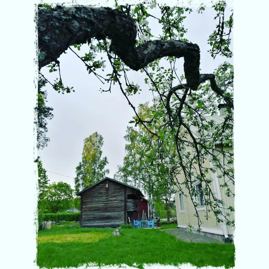 Willa Mustijoki Laukkoski Экстерьер фото