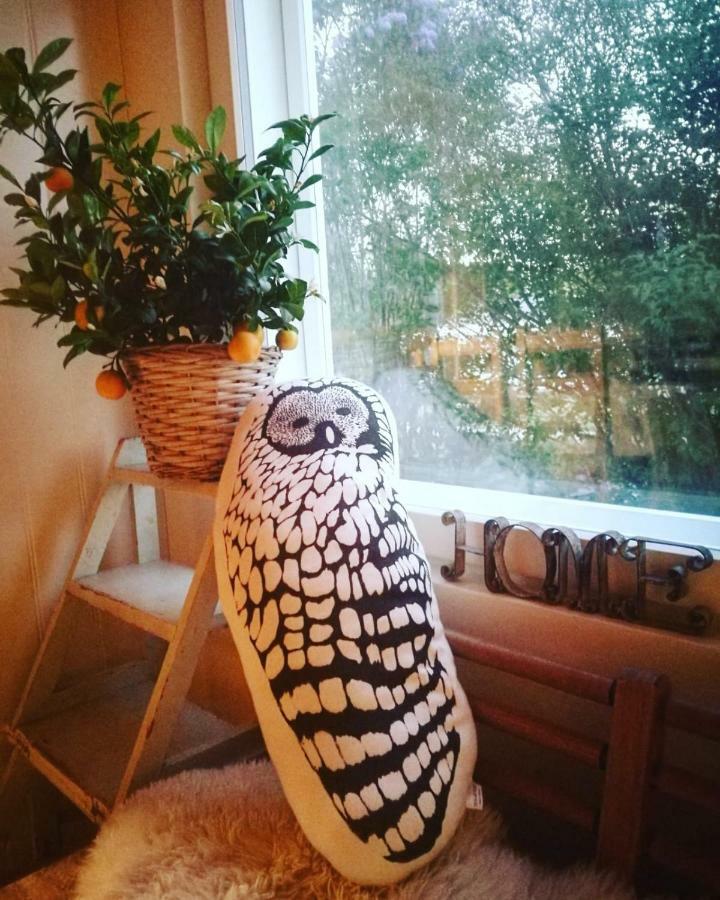 Willa Mustijoki Laukkoski Экстерьер фото