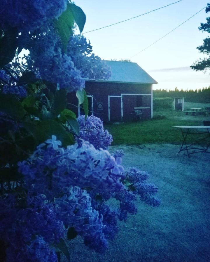 Willa Mustijoki Laukkoski Экстерьер фото